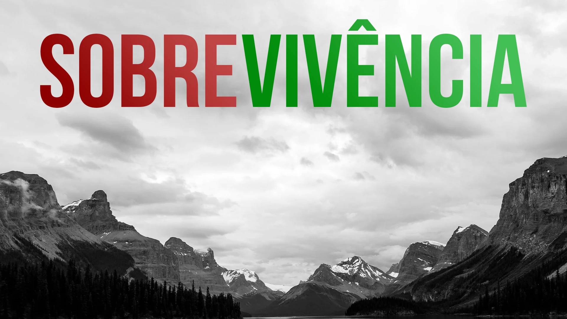 Sobrevivência não é o fim. É o começo da sua vivência real