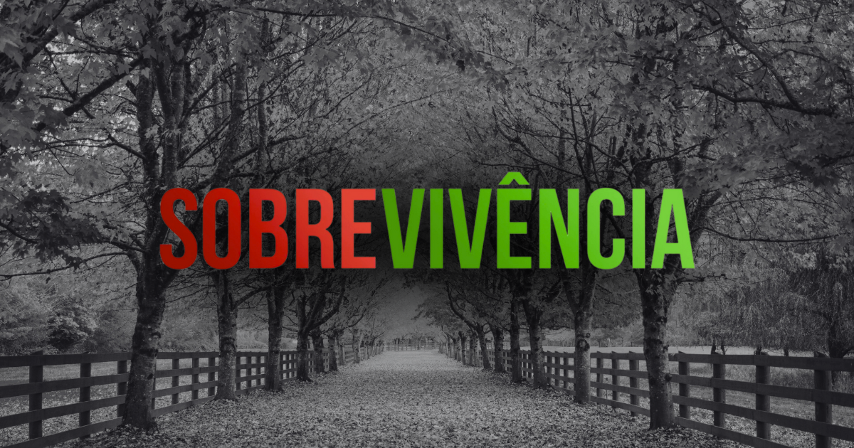 Estamos no outono: o que essa estação pode nos ensinar sobre a vida na América 