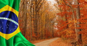 🍁🎶 Raízes & Rotas: Quando o Outono Encontra o Brasil 🍂🇧🇷