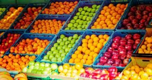 Bancos de alimentos crescem em Massachusetts após crise do SNAP