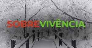 Com o frio chegando, nossa casa e nosso carro se tornam prioridades de cuidado