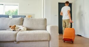 Quando o filho avisa que vai embora, o tempo para