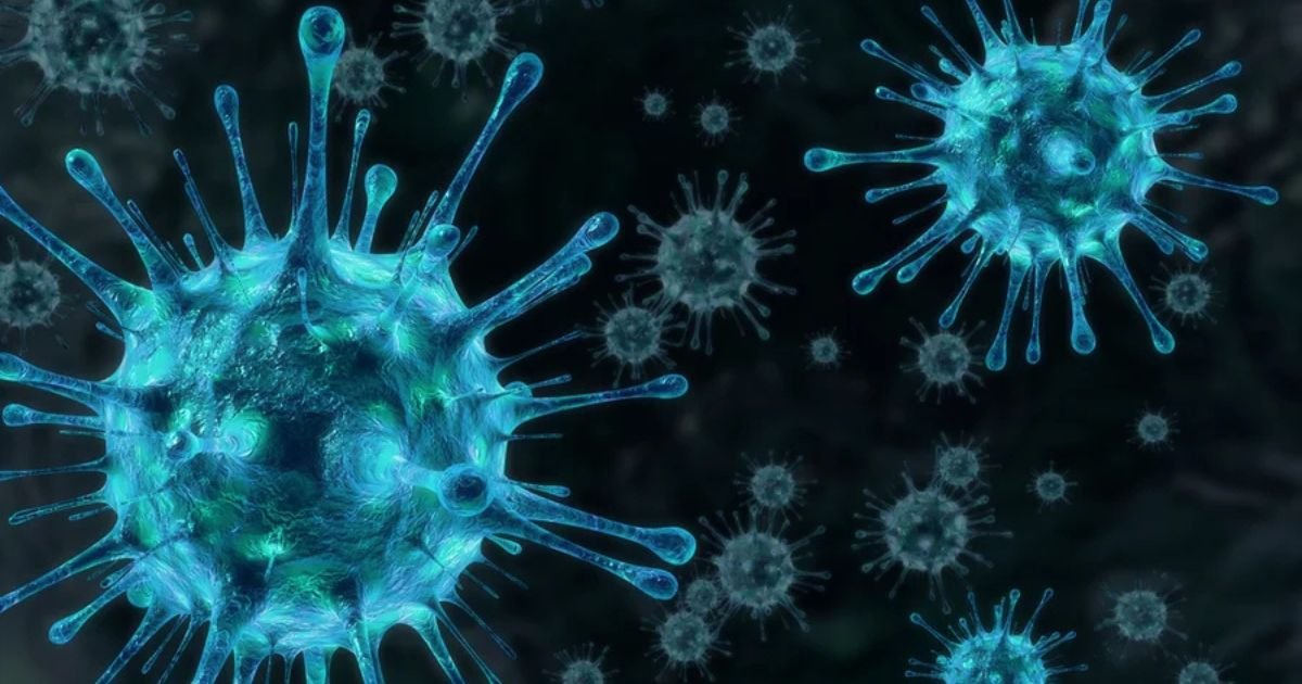 Ciência em Alerta: Dois novos vírus de origem animal entram no radar de risco para pandemias