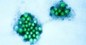 Alerta de Norovírus em Boston: Escolas Reforçam Protocolos de Higiene Após Surto em Massa