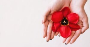 Saúde feminina na imigração: os desafios hormonais e emocionais da mulher