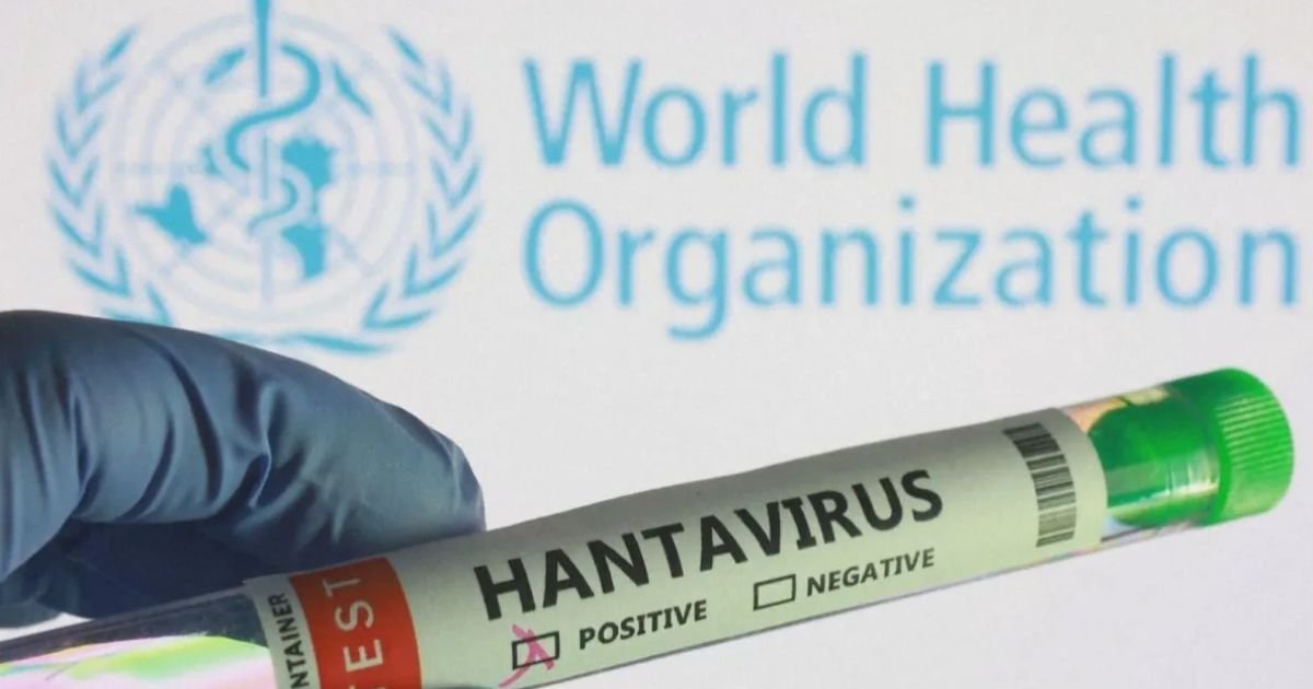 Surto de Hantavírus em Cruzeiro Acende Alerta: Entenda os Riscos, Sintomas e a Possibilidade de Pandemia