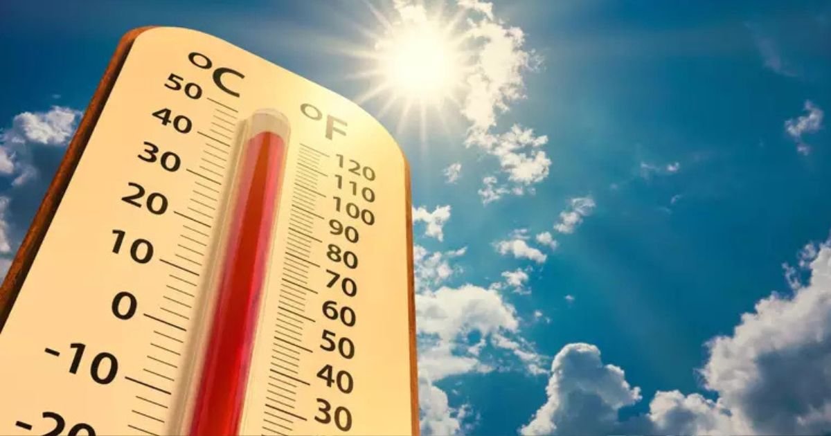 Nova Onda de Calor: Massachusetts entra em alerta com sensação térmica de até 38°C nesta semana
