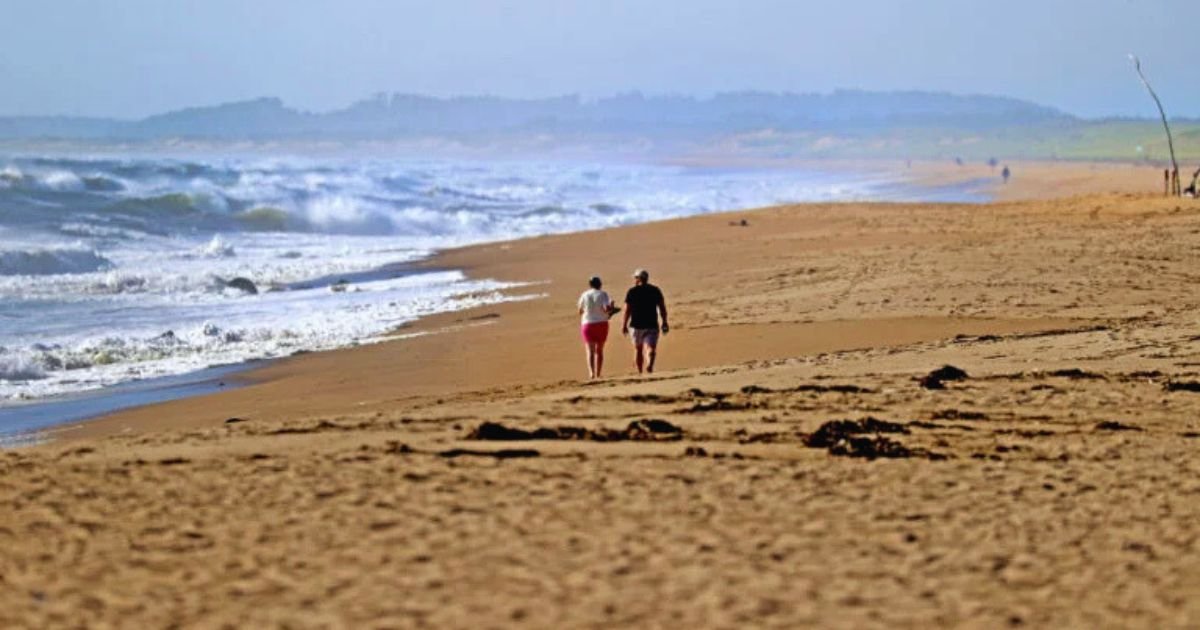 Alerta no feriado: Calor extremo e vazamento de esgoto fecham dezenas de praias em Massachusetts