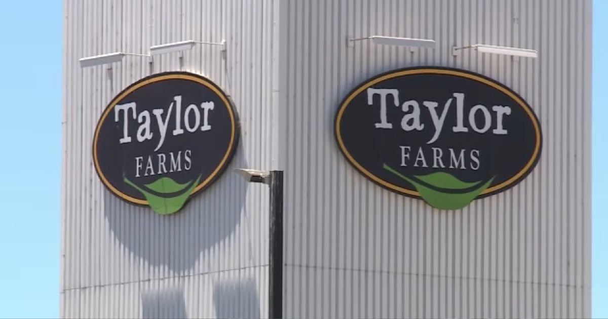 Taylor Farms Realiza Recall de Molhos e Guacamole por Risco de Salmonella nos EUA