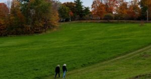 Feriado Prolongado em New England: Sol no Sábado e Chuva no Domingo com Remanescentes do Furacão Isaías