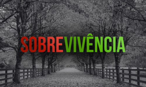 Estamos no outono: o que essa estação pode nos ensinar sobre a vida na América 