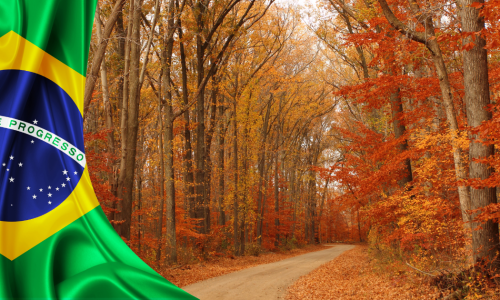 🍁🎶 Raízes & Rotas: Quando o Outono Encontra o Brasil 🍂🇧🇷