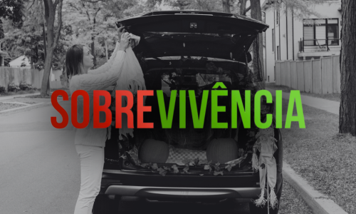 O verão passou. E agora? O que a formiga sabia e o pica-pau ignorou