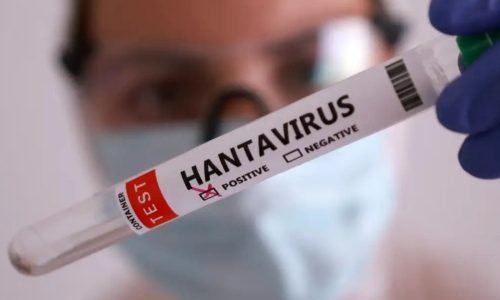 Passageiros americanos expostos ao hantavírus em cruzeiro recebem opção de quarentena domiciliar