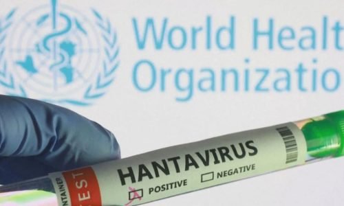 Surto de Hantavírus em Cruzeiro Acende Alerta: Entenda os Riscos, Sintomas e a Possibilidade de Pandemia