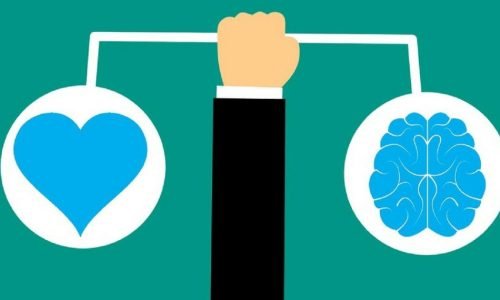 O Núcleo Regulador: Por Que Nenhuma Área da Vida Funciona Sem Inteligência Emocional?