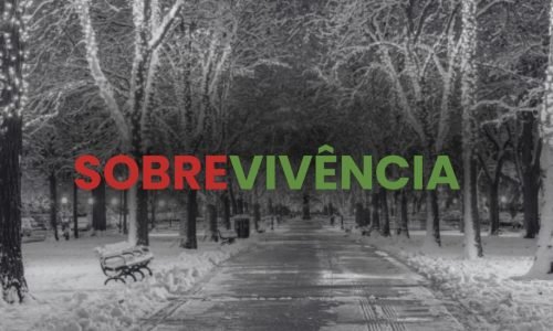 Natal longe de casa: quando o amor se torna nosso abrigo