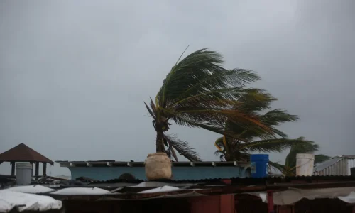 Mulheres de Massachusetts ajudam Jamaica após furacão
