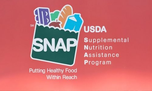 Crise no SNAP: Massachusetts registra taxa de erro de 12,5% e corre o risco de assumir custos milionários do programa federal