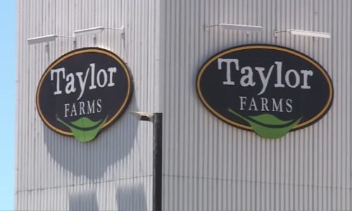 Taylor Farms Realiza Recall de Molhos e Guacamole por Risco de Salmonella nos EUA