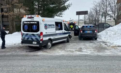 Emergência em Wellesley: 11 crianças são hospitalizadas com queimaduras químicas em creche