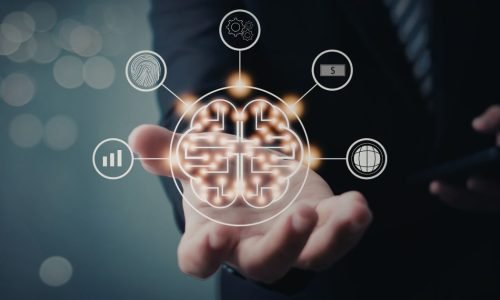Do Trabalho Braçal à Construção de um Ecossistema