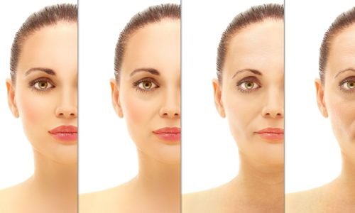 O Tempo e os Nossos Contornos: A Importância de Sustentar a Nossa Estrutura Facial com Gentileza