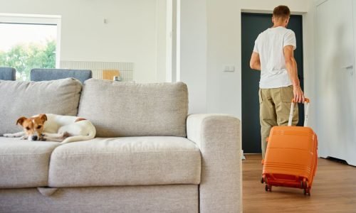 Quando o filho avisa que vai embora, o tempo para