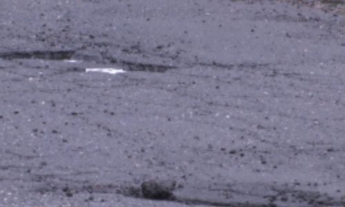 Cuidado nas estradas: Temporada de buracos chega cedo em Massachusetts; saiba como se proteger