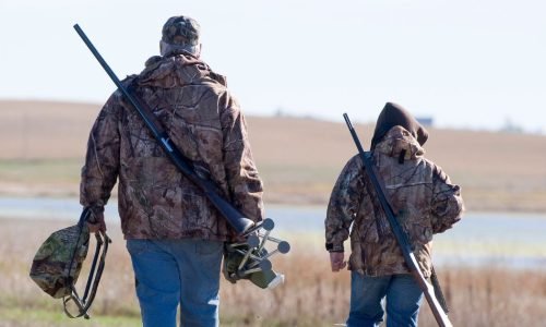 Temporada de caça a veados com espingarda começa em Massachusetts: Autoridades emitem alerta de segurança para trilheiros e ciclistas