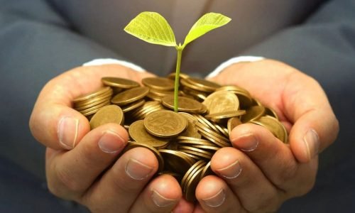 A Mente Próspera: O Crescimento Financeiro como Reflexo da Alta Performance Mental