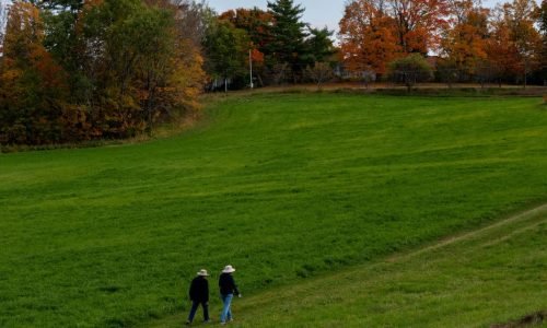 Feriado Prolongado em New England: Sol no Sábado e Chuva no Domingo com Remanescentes do Furacão Isaías