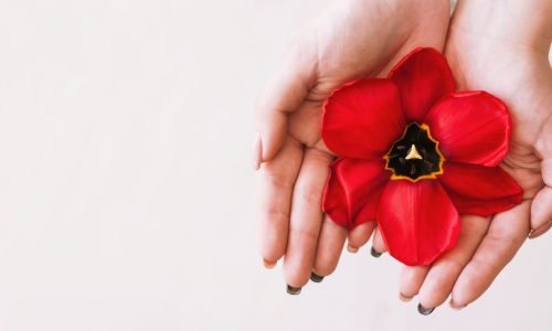 Saúde feminina na imigração: os desafios hormonais e emocionais da mulher