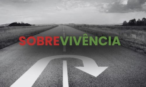 A Rota Contrária: quando voltar para o Brasil vira um caminho possível