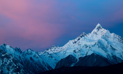 Sobrevivência não é o fim. É o começo da sua vivência real