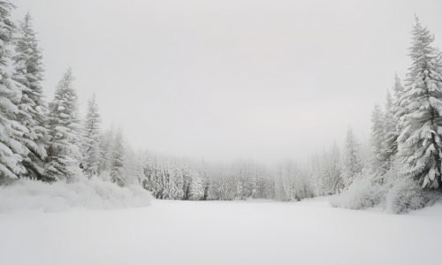 O frio está chegando — como se preparar e se adaptar à nova rotina na América