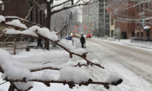 Quando o medo volta: uma conversa de sobrevivência entre você e eu