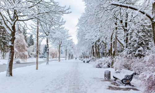 Natal longe de casa: quando o amor se torna nosso abrigo
