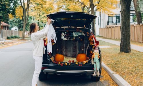 O verão passou. E agora? O que a formiga sabia e o pica-pau ignorou