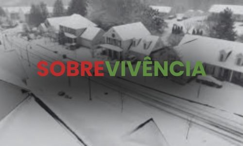 Sobrevivência consciente: preparar o caminho também é parte do sonho