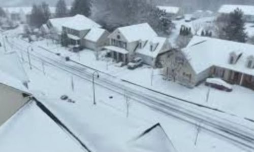 Sobrevivência consciente: preparar o caminho também é parte do sonho