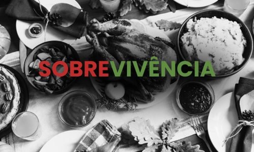 O Thanksgiving na América: o que essa data significa para quem recomeçou longe de casa