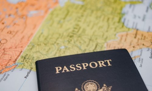 Quem disse que raiz não viaja? 🌱✈️