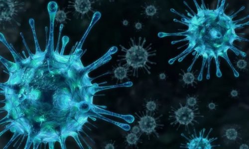 Ciência em Alerta: Dois novos vírus de origem animal entram no radar de risco para pandemias